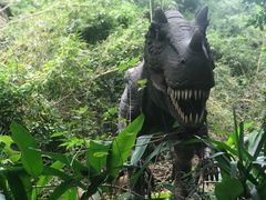 -海南热带野生动植物园