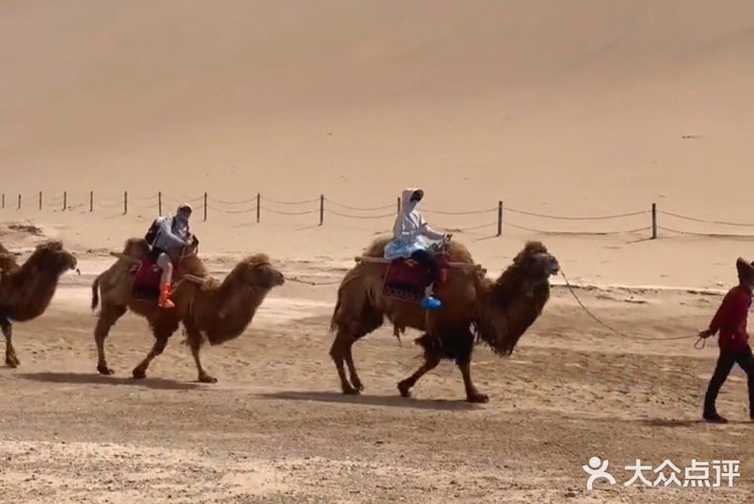 沙漠奇观 叹为观止