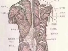 -银吉姆健身(景城邻里中心馆)