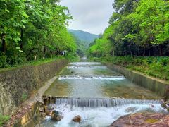 -广州白江湖森林公园