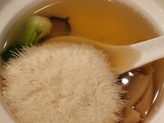 上汤参茸炖绣球-香乐园·淮扬菜中餐厅·Shang Garden(福田香格里拉店)