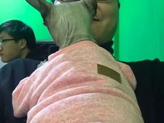 -李小姐の猫咖啡馆(五角场店)