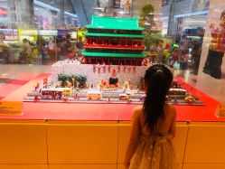 -乐高授权专卖店(朝阳大悦城店)