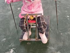 -丁香湖公园
