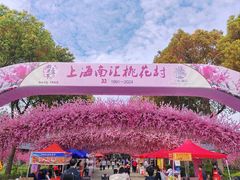 -南汇桃花村