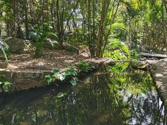 -燕晗山郊野公园