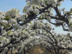 -梁鸿国家湿地公园