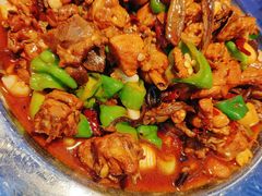 -俭寨大盘鸡·缸子肉·小公鸡·新疆菜(云通店)