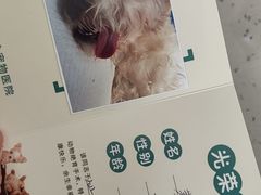 -睿金宠物医院·CT·肿瘤·骨外科