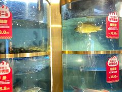 -蜀滋香鲜鱼美蛙火锅(339店)