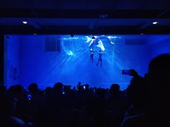 -芜湖新华联大白鲸海洋公园