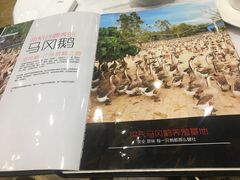 -鹅城