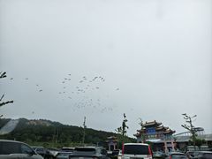 -海驴岛(荣成市)