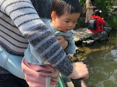 -西湖外事游船(花港观鱼码头)