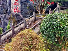 -玉石林风景区