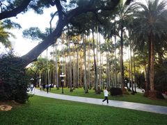 -荔枝公园(福田区)