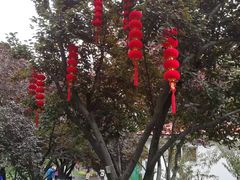 -丰台花园