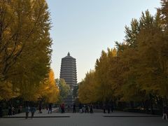 -玲珑塔公园