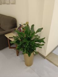 -丰联丽格医疗美容·联合丽格眼整形中心