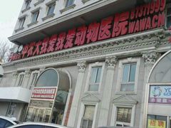 -中农大我爱我爱动物医院(甜水园店)