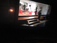 -红星电影世界上海张江绿地店