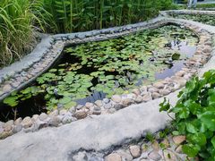 -活水公园