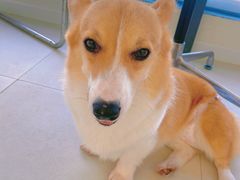 -怪兽屋·羊驼·猫咖·狗咖(俊华广场店)