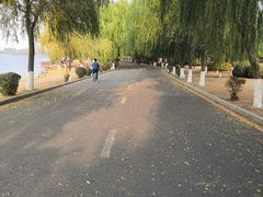 -丁香湖公园
