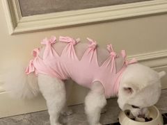 -伟伟宠物医院·CT影像中心·瑞派犬猫综合性门诊(汉口总院)
