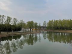 -东郊湿地公园
