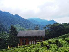 -姑婆山旅游区