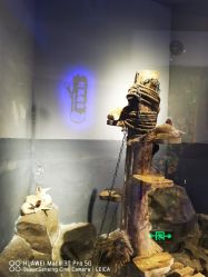 -未来动物城动物主题公园(大悦城店)