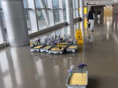 -贵阳龙洞堡国际机场-T2航站楼