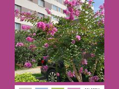 -丽都DELICATESSEN熟食店