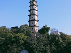 -江心屿景区