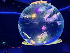 -石家庄极地海洋世界