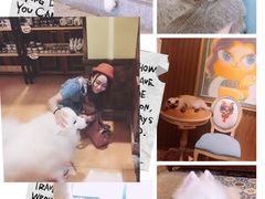 -more than meow吴止猫主题餐厅(承德 中船汇店)