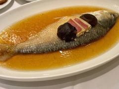 酒蒸鲥鱼-老吉士(环贸iapm店)