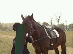 -大光明新国际影城(青浦吾悦店)