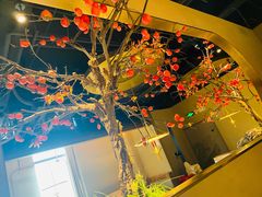 -佬肥猫(国华广场店)