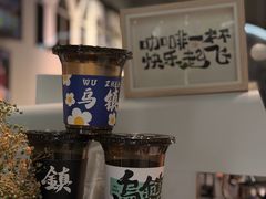 -乌镇东栅景区