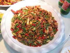 -新概念来凤鱼(璧山店)