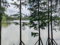 -顺峰山公园