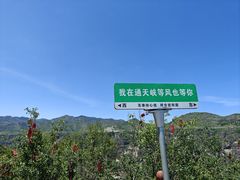 -山西通天峡景区