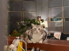 -咖法森林·咖啡  酒吧(天河店)