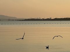 -深圳湾公园(南山区)