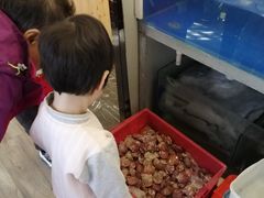 -宏天寶·北京烤鸭(宾馆西路2店)