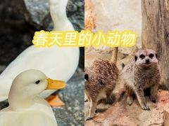 -正佳极地海洋世界