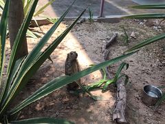 -灵玲国际马戏城