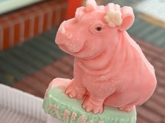 -成都动物园